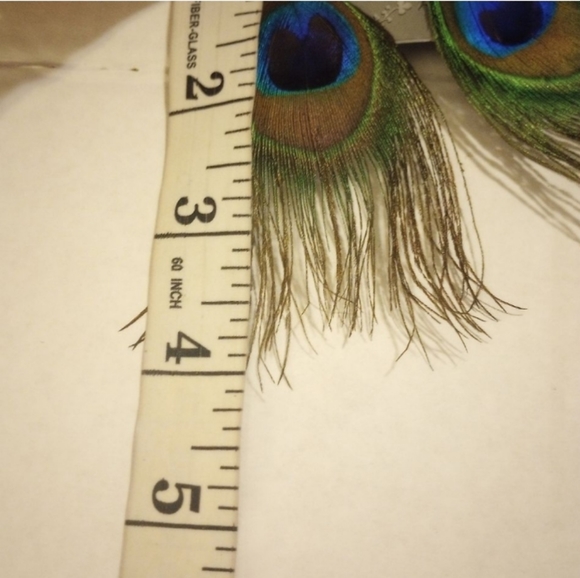 Peacock Feather Earrings on pierced hypoallergenic ss Ear wires. 1 pr Be… - Picture 4 of 10